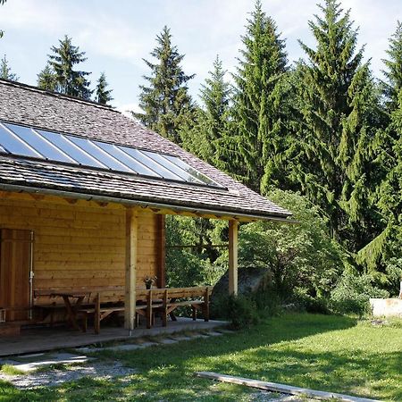 Alpenapart Montafon - Bitschweil Huesle Villa Schruns Buitenkant foto